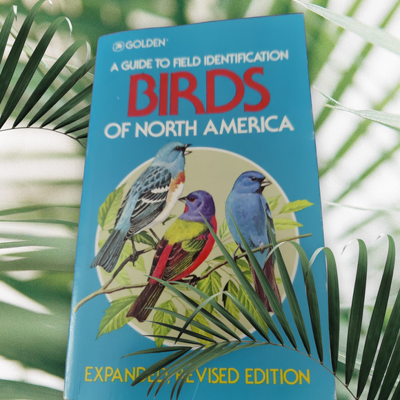 Bundle educational paperback books - Picture 1 of 4